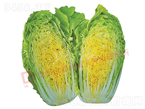 ��z��-�¸������-��ײ˷N��-�¸߷N�I(y��)