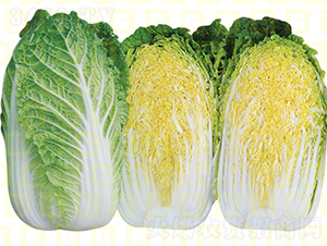 �����[���ײ�-�¸�C257-��ײ˷N��-�¸߷N�I(y��)