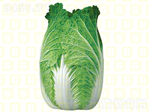 ������ײ�-�¸�7̖-��ײ˷N��-�¸߷N�I(y��)