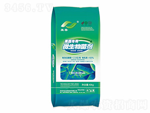 ���ߌ���΢�������-�����ʘI(y��)