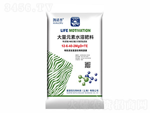 ����Ԫ��ˮ�ܷ���12-6-40-2MgO+TE-�P�Z��-�Z�V��