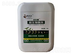 ������΢�������-������