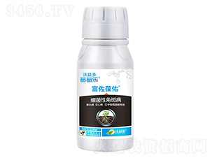 100�˼�(x��)���Խǰ߲�-��������-ݮݮ��-�����