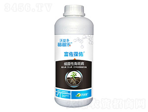 ��(x��)���Խǰ߲�-��������-ݮݮ��-�����