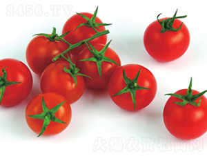 �tؐ��-���ѷN��-����