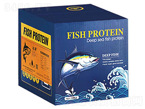 魚(yú)蛋白原漿（箱）-弗雷格