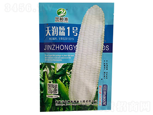 �읙Ŵ1̖-���׷N��-��NԴ