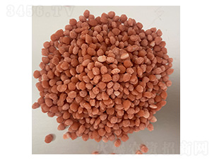 �����@����ɫ�w����-�����r(n��ng)�I(y��)