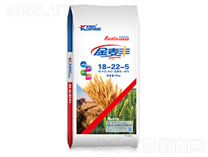 �����S��(f��)�Ϸ���18-22-5-�����Z-��(r��n)������