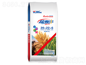 �����S�ͺϷ���20-22-6-�����Z-��������