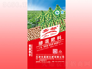 ���䷽�������-�ζ�