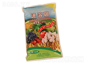 1000��������-�����r(n��ng)�I(y��)