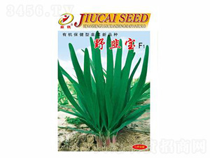 Ұ��F1-��(y��u)�N�I(y��)