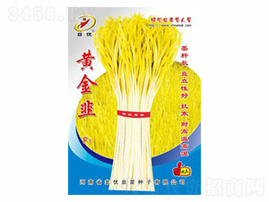 黃金韭F1-韭優(yōu)種業(yè)