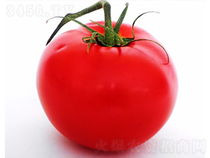 CNUS1607F1-�������L���ѷN��-�A���N��