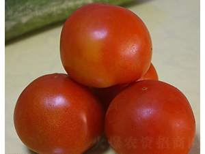 CNUS05F1-�������L���ѷN��-�A���N��