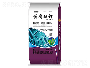 �S�����΢�������-��-���·���