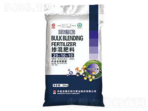 �������20-10-10-�p����-�t�ķ�