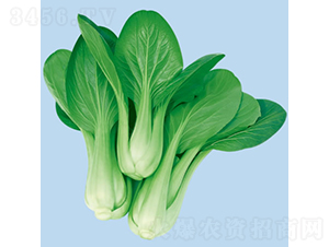 ���Ŀ��-С�ײ˷N��-�c�l(f��)��ʢ