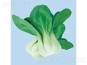 �����ļ���-С�ײ˷N��-�c�l(f��)��ʢ