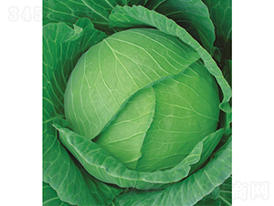 �c��75��-���{(l��n)�N��-�c�l(f��)��ʢ