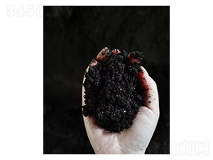 ��̿��-�t�ķ�