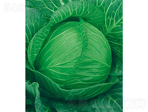 �c��65��-���{(l��n)�N��-�c�l(f��)��ʢ