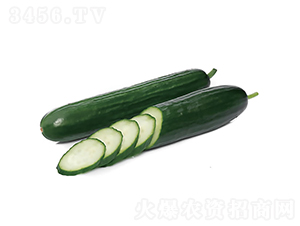 �c�n988-�S�ϷN��-�c�l(f��)��ʢ