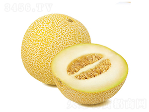 �S����-��ϷN��-�c�l(f��)��ʢ