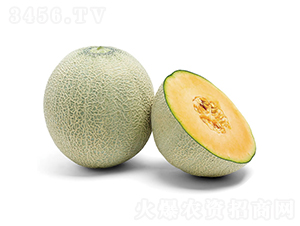 ����-��ϷN��-�c�l(f��)��ʢ