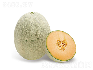 ���-��ϷN��-�c�l(f��)��ʢ