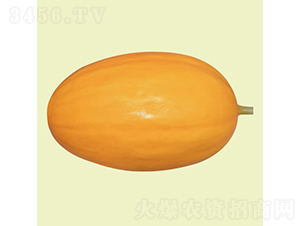 ����2̖-��ϷN��-�c�l(f��)��ʢ