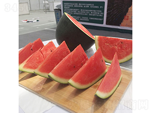 �c��2̖-���ϷN��-�c�l(f��)��ʢ