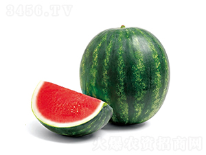 ���5̖-���ϷN��-�c�l(f��)��ʢ