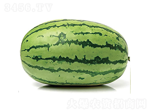 �c��1̖-���ϷN��-�c�l(f��)��ʢ