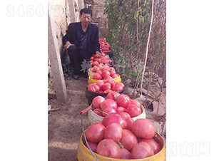 ����KT-10-���ѷN��-���зN��