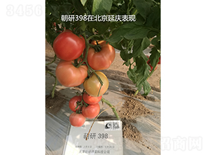 ����398-���ѷN��-���зN��