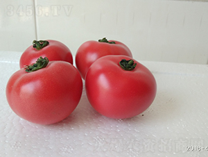 ����-���ѷN��-���зN��