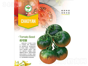 ��(y��u)����-���ѷN��-���зN��