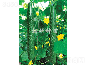 ����201-�S�ϷN��-���зN��