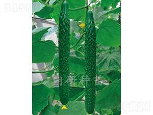 ����203-�S�ϷN��-���зN��