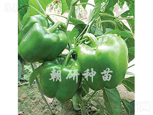 ��85-15-�𽷷N��-���зN��