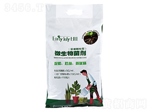 (�ٸ��w����)΢�������-������