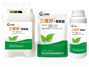 ���師������-���A�r��