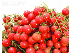 ��������-���ѷN��-���շN��