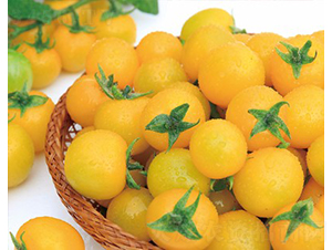 �S��-���ѷN��-���շN��