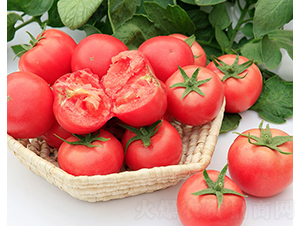 御宴920-番茄種子-博收種子
