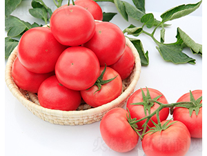 ����916-���ѷN��-���շN��