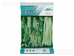 先行者-諾易達(dá)