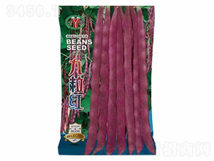 �����t-�Z���_(d��)